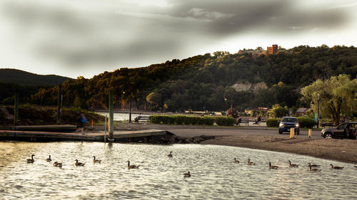View of birds in lake against sky