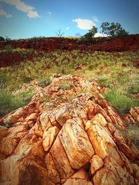 Close-up of rock on landscape against sky