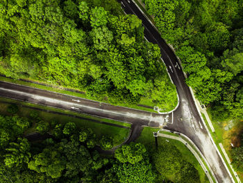 High angle view of road amidst trees in forest