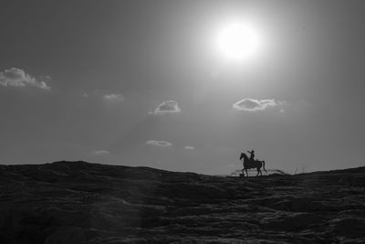 Silhouette people riding horse on beach against sky