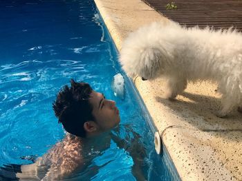 Boy looking at dog while swimming in pool
