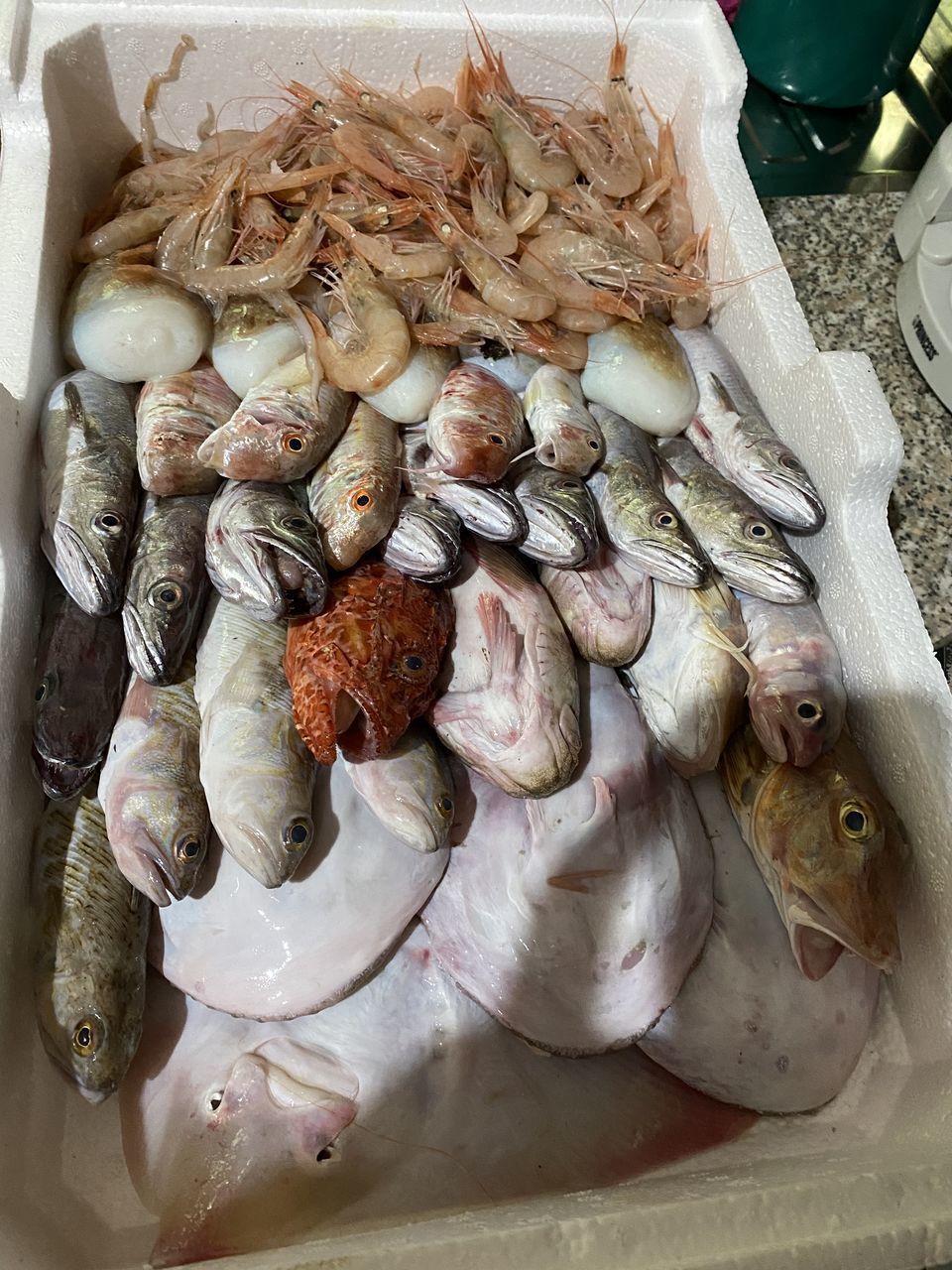 HIGH ANGLE VIEW OF FISH IN MARKET