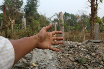 Cropped hand of person in forest