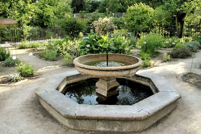 High angle view of formal garden