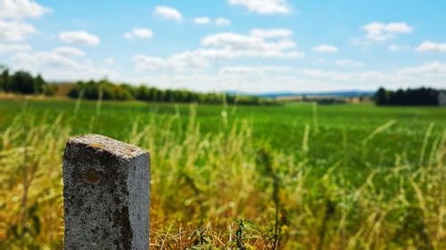 Wooden posts on field against sky