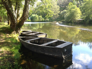 Boat in lake by trees in forest