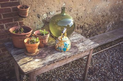 High angle view of potted plant on table against wall