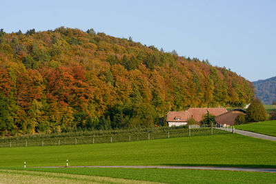 Scenic view of field against sky during autumn