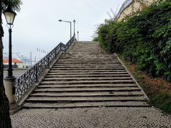 Steps amidst trees against sky