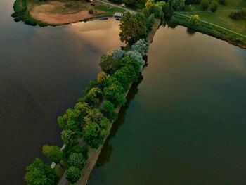 High angle view of trees by lake