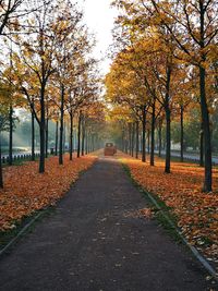 Road amidst trees during autumn