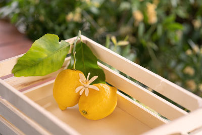 Close-up of orange fruit on table
