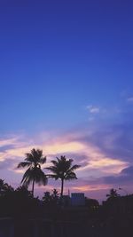 Silhouette of palm trees against cloudy sky