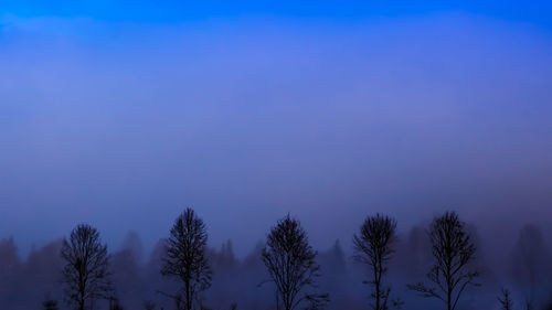 Low angle view of silhouette trees against blue sky