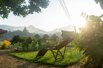 Scenic view of field against clear sky