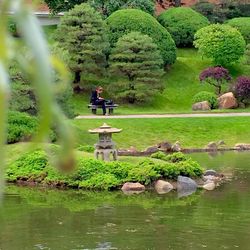 Reflection of trees in pond