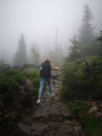 Rear view of woman walking amidst plants in forest