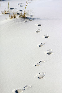 High angle view of footprints on sand at beach