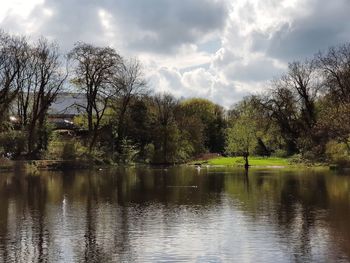 Trees by lake against sky