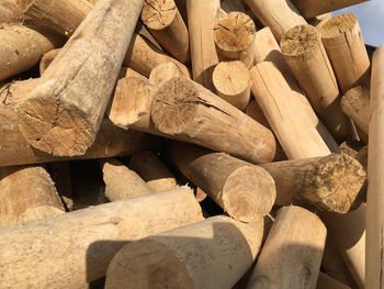 Full frame shot of wooden logs in forest