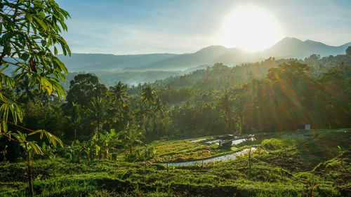 Scenic view of mountains against sky