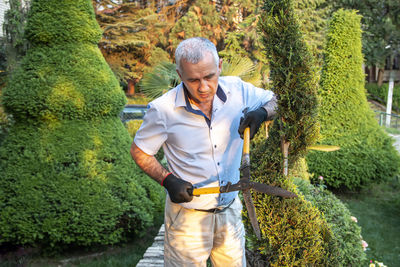 Mature gardener using scissors for trimming the branches. concept of garden decoration