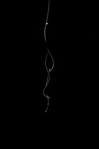 Close-up of electric light over black background