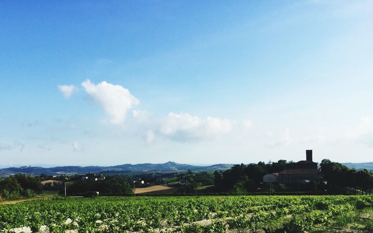 sky, landscape, environment, cloud - sky, scenics - nature, field, beauty in nature, land, plant, tranquility, tranquil scene, nature, tree, day, no people, rural scene, agriculture, growth, grass, architecture, outdoors