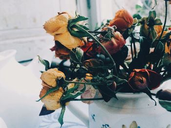 Close-up of wilted rose plant