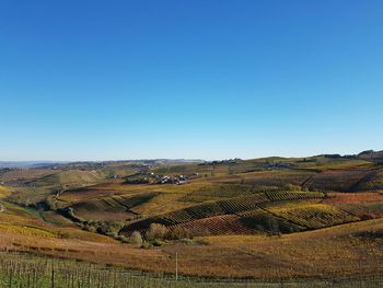 Scenic view of agricultural landscape against clear blue sky