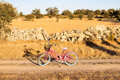 Bicycle on a countryside path at summer