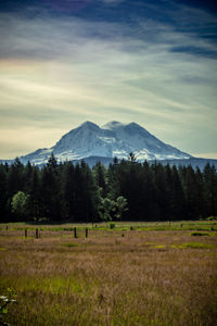 Scenic view of field and mountains against sky