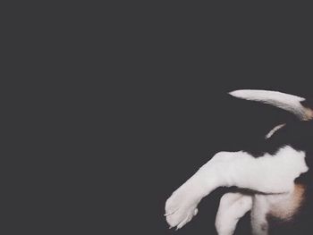 Close-up of black background over black background