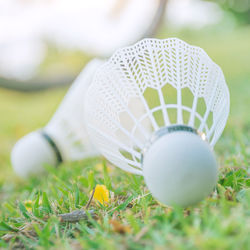 Close-up of ball on plant