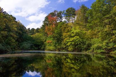 Reflection of trees in lake against sky during autumn