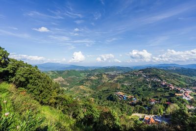 High angle view of trees and buildings against sky