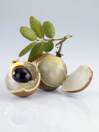 Close-up of fruits in plate against white background