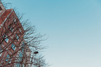 Low angle view of bare tree and building against clear sky