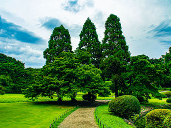 Trees in park against sky