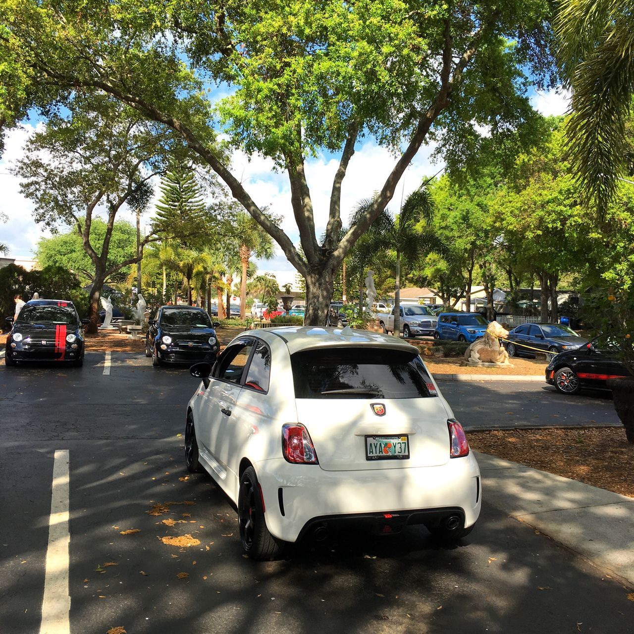 car, street, transportation, tree, land vehicle, mode of transport, road, outdoors, day, no people, police car