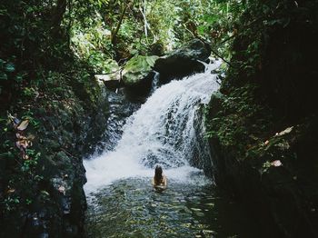 Scenic view of waterfall in forest