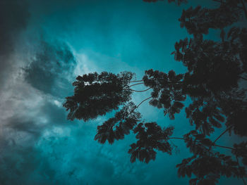 Low angle view of trees against sky