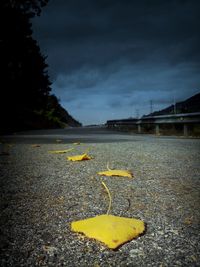 Surface level of road