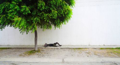 Side view of destitute poor man on sidewalk under tree