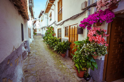 Narrow alley amidst buildings in city