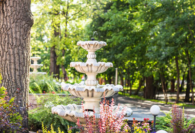 Statue in park