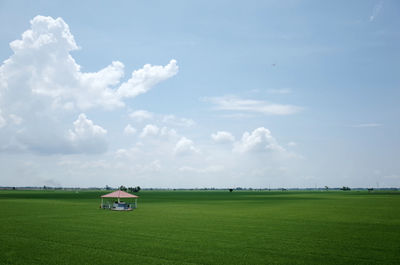 Scenic view of grassy field against cloudy sky