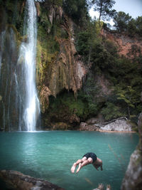 Scenic view of waterfall in forest