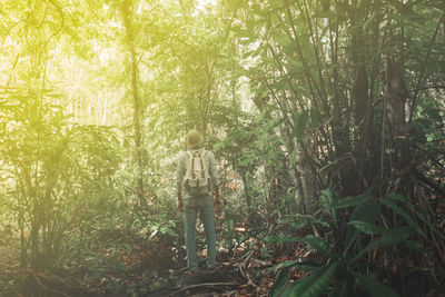 Rear view of person standing by trees in forest