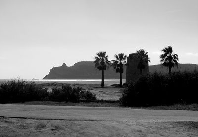 Palm trees by sea against clear sky